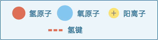 氢原子的δ正